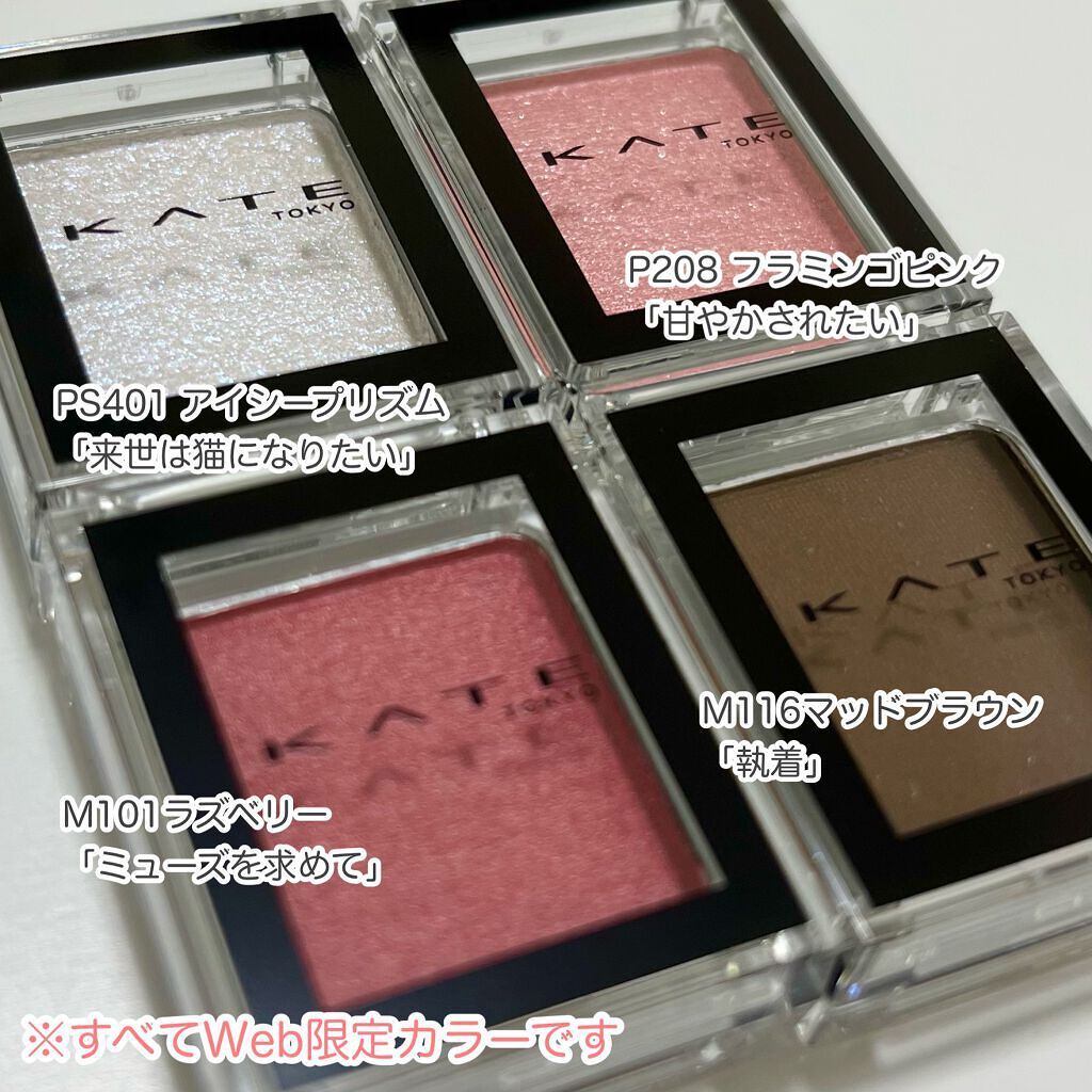 ケイト ザ アイカラー アイカラーケース◆チップつき/KATE/単色アイシャドウを使ったクチコミ（2枚目）