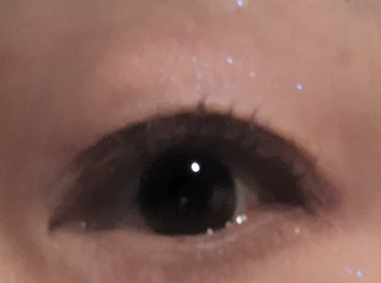 アイシャドウパレット/coou/アイシャドウパレットを使ったクチコミ（2枚目）