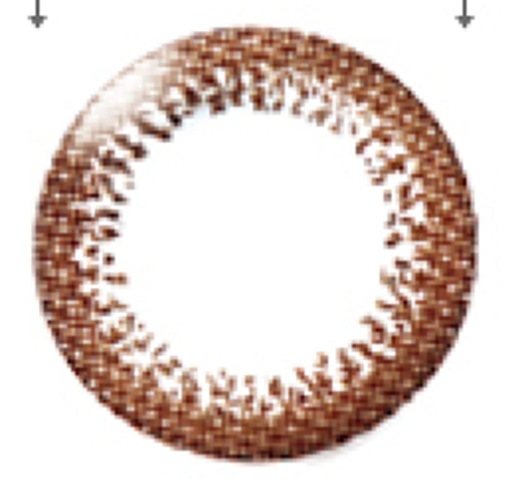 ネオサイトワンデー リングUV ブラウン