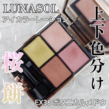 アイカラーレーション EX38 Botanical Meadow（限定発売）/LUNASOL/アイシャドウパレットを使ったクチコミ（1枚目）