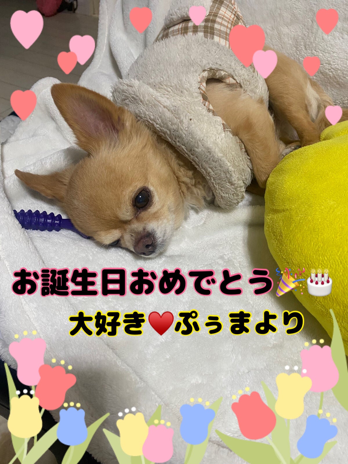 ACネイルエナメル/セリア/マニキュアを使ったクチコミ(6枚目)