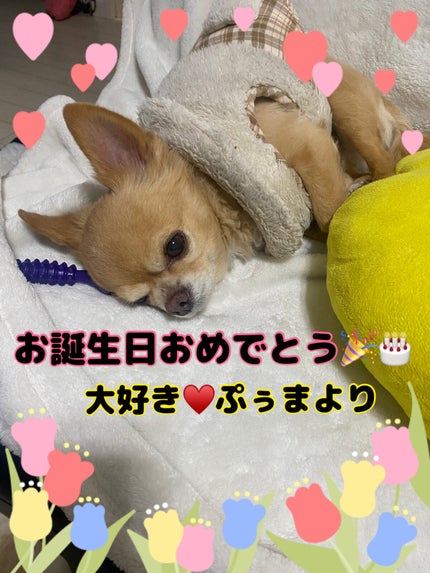 ACネイルエナメル/セリア/マニキュアを使ったクチコミ(6枚目)