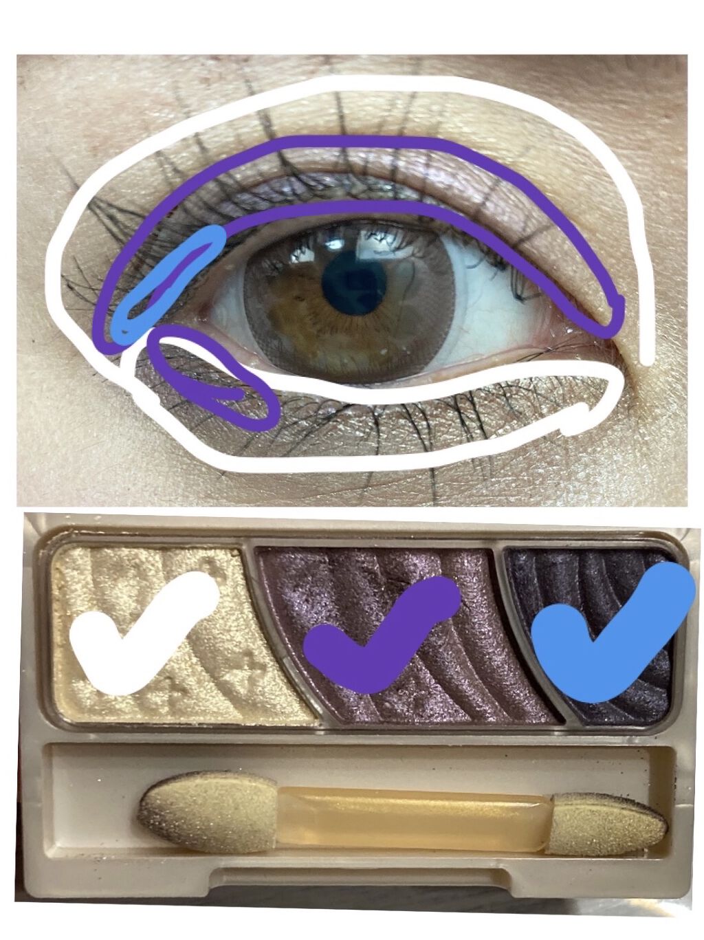 トーンアップアイシャドウ/CEZANNE/アイシャドウパレットを使ったクチコミ（3枚目）