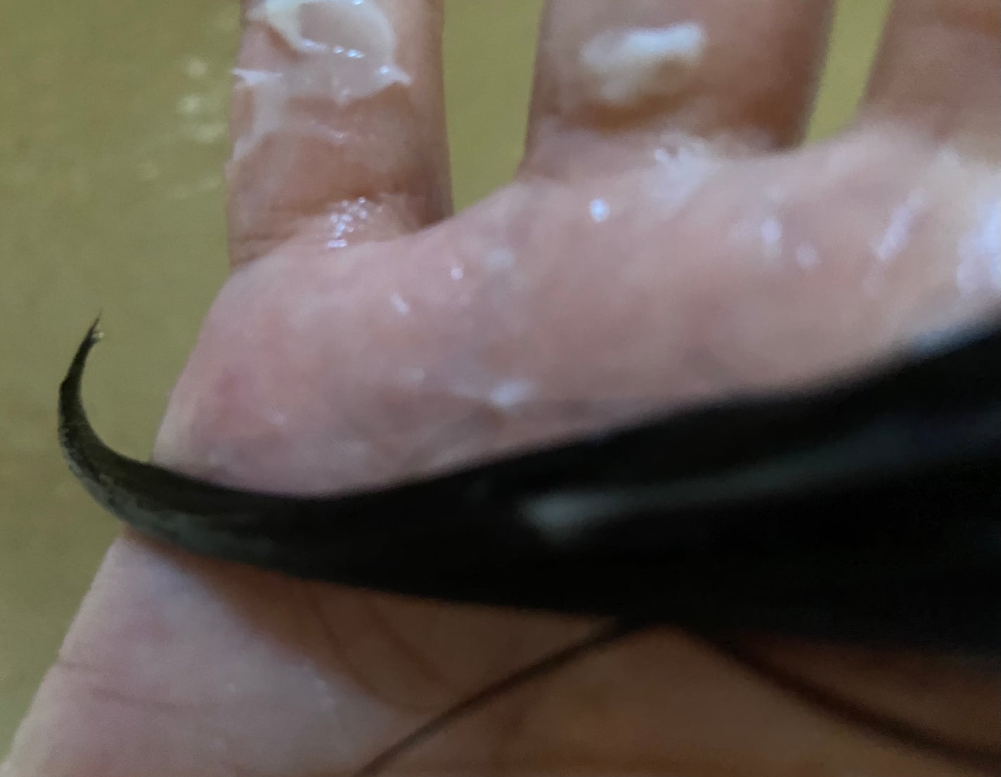 シャンプー/トリートメント SR/CLAYGE/市販シャンプーを使ったクチコミ(7枚目)