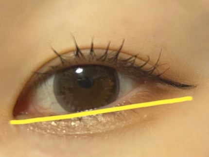 クリア マスカラR/CEZANNE/マスカラ下地を使ったクチコミ(4枚目)