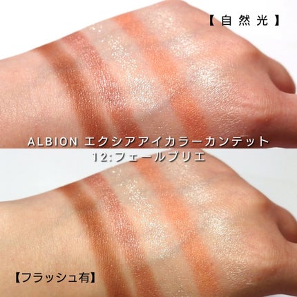 エクシア アイカラー カンテット/ALBION/アイシャドウパレットを使ったクチコミ(6枚目)