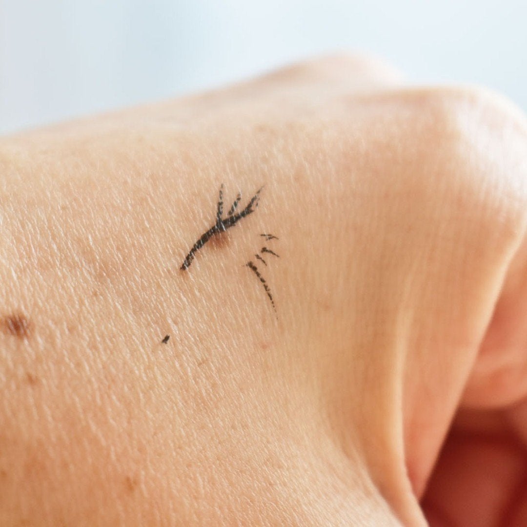 エクストラシャープ リキッドライナー/Visée/リキッドアイライナーを使ったクチコミ(6枚目)