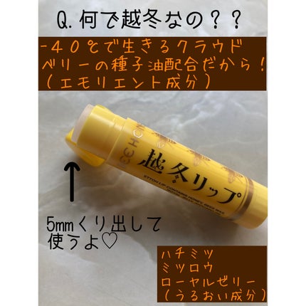 越冬リップ/ビーハニー/リップクリームを使ったクチコミ(2枚目)