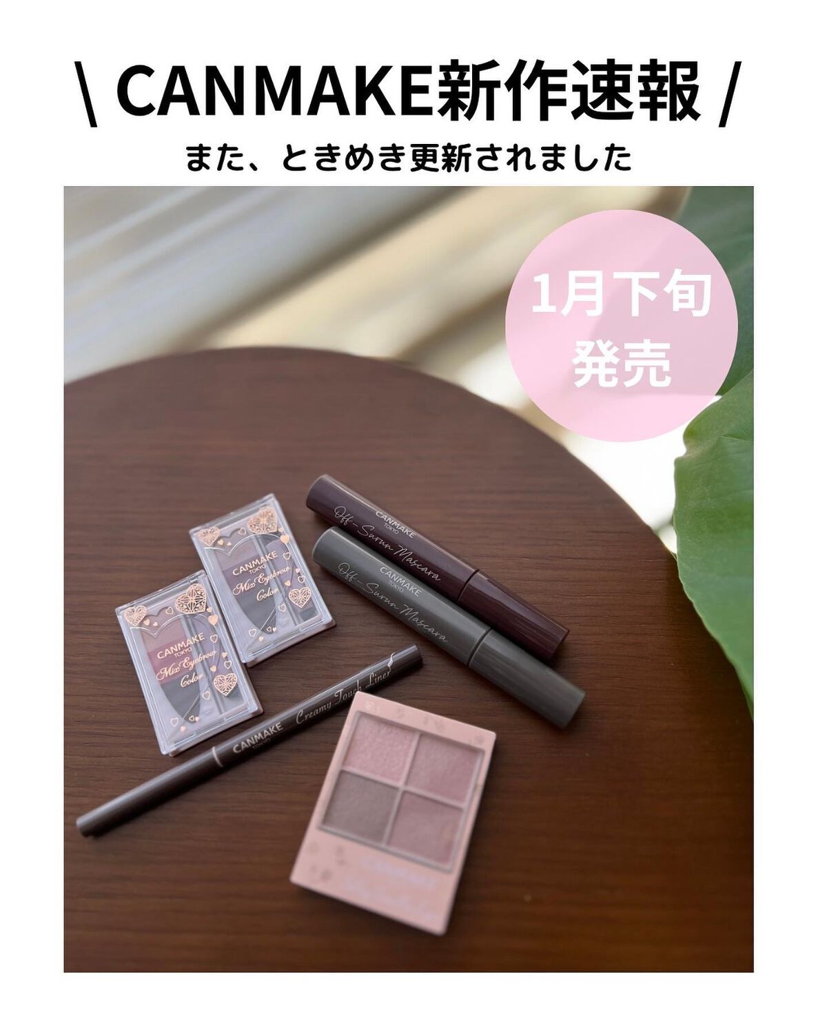 シルキースフレアイズ（マットタイプ）/キャンメイク/アイシャドウパレットを使ったクチコミ（2枚目）