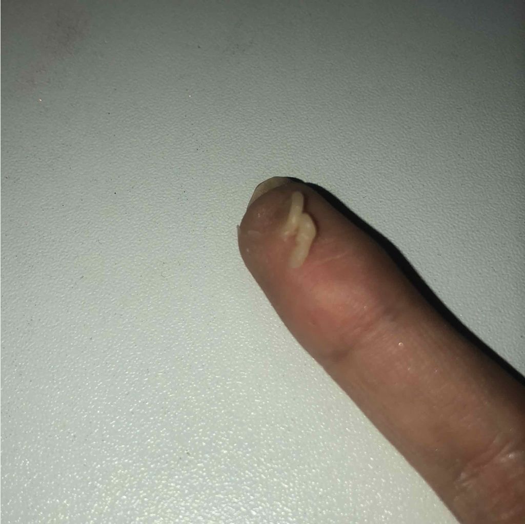 レブロン ユースエフエックス フィル+ブラー プライマー/REVLON/化粧下地を使ったクチコミ(2枚目)