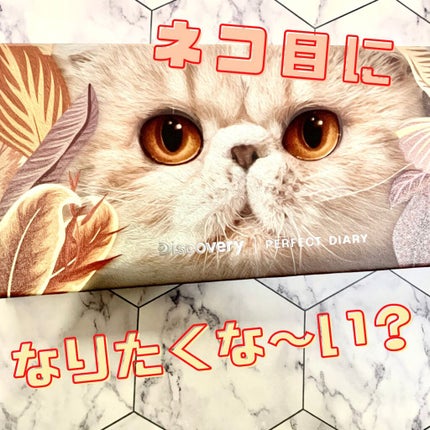 エクスプローラ12色 動物アイシャドウパレット/PERFECT DIARY/アイシャドウパレットを使ったクチコミ(1枚目)