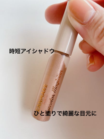 シルキースフレアイズ/キャンメイク/アイシャドウパレットを使ったクチコミ(5枚目)