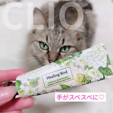 
CLIOの福袋に入っていた
ハンドクリームです🐻‍❄️💚

愛猫ちゃんとの写真で失礼します(笑)

🌼Healing Bird (ヒーリングバード)
      Gardener′s Perfume 