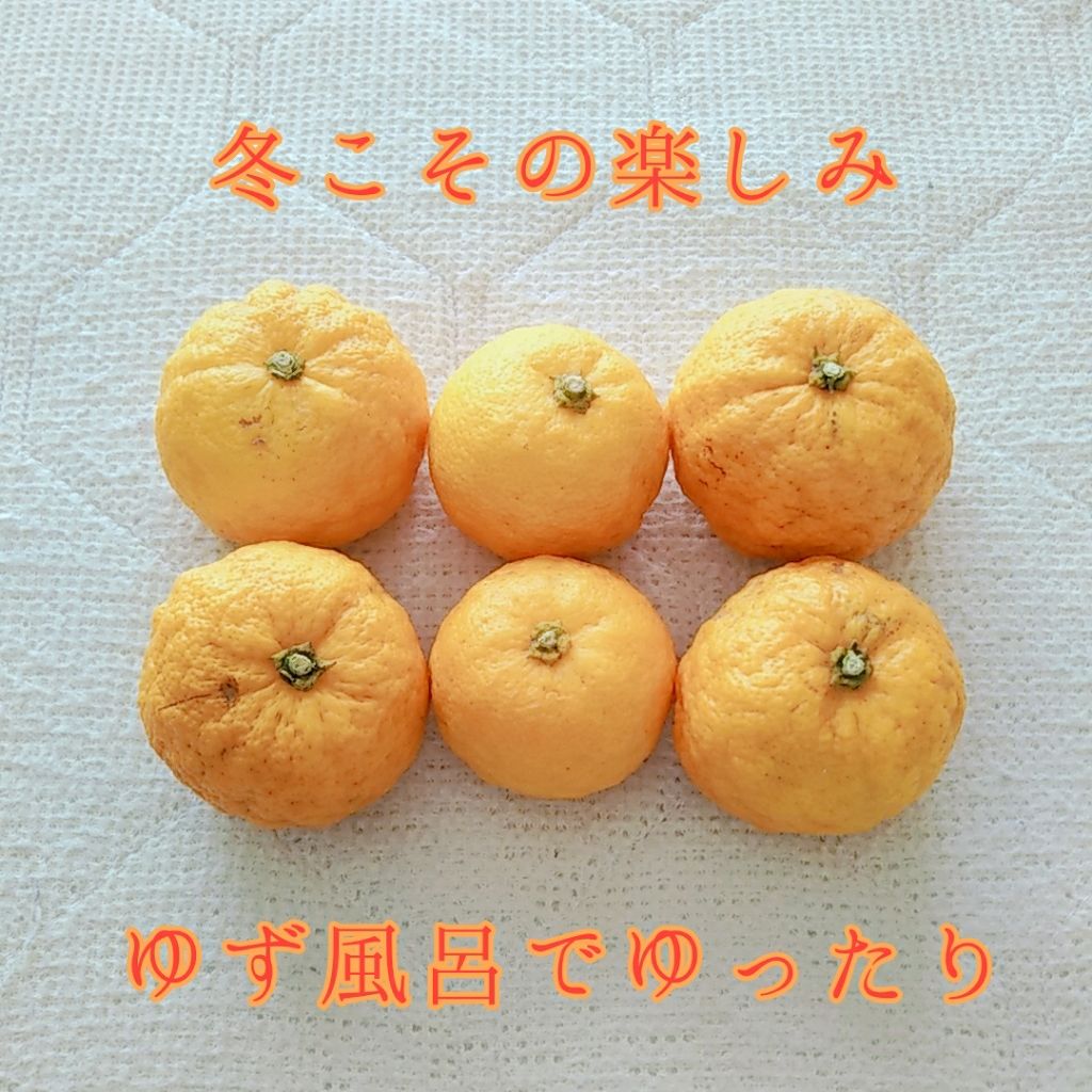 きんとん on LIPS 「皆さん、こんにちは。最近すっかり寒くなってきましたね。普段はお..」(1枚目)