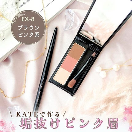 ケイト デザイニングアイブロウ3D/KATE/パウダーアイブロウを使ったクチコミ(1枚目)