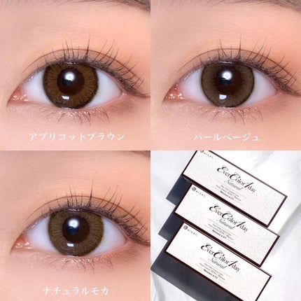 エバーカラーワンデー ナチュラル/エバーカラー/ワンデー(1DAY)カラコンを使ったクチコミ(2枚目)