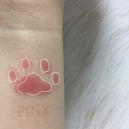 なりきりにゃんこ クール美猫つややかリップスティック/フェリシモ猫部/口紅を使ったクチコミ(3枚目)