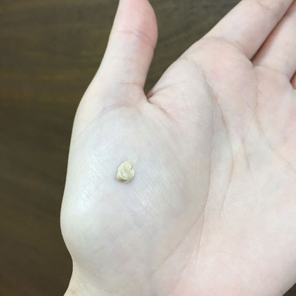 プロフィニッシュ BB/インテグレート/BBクリームを使ったクチコミ(5枚目)