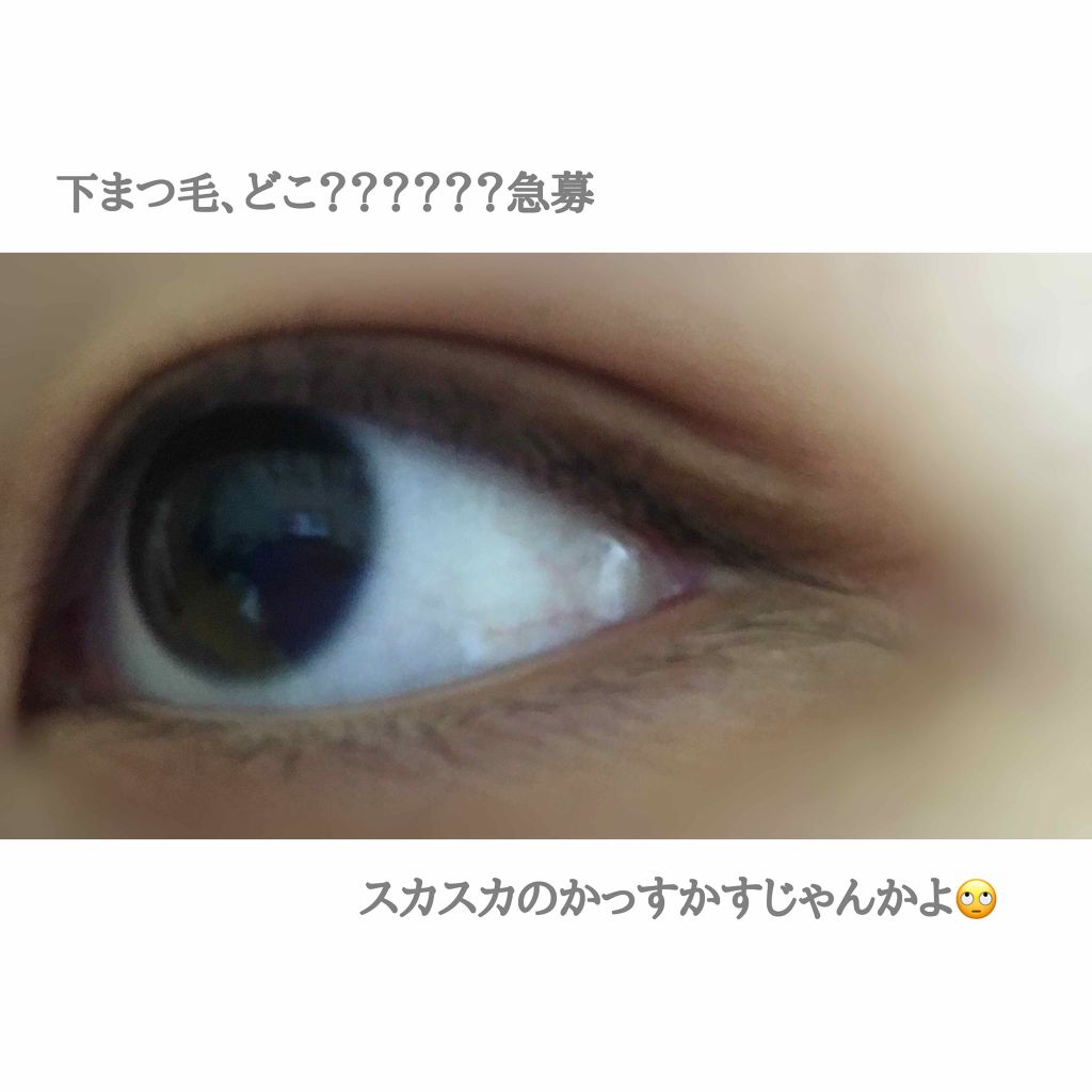 ラッシュティント/MAJOLICA MAJORCA/マスカラを使ったクチコミ(2枚目)