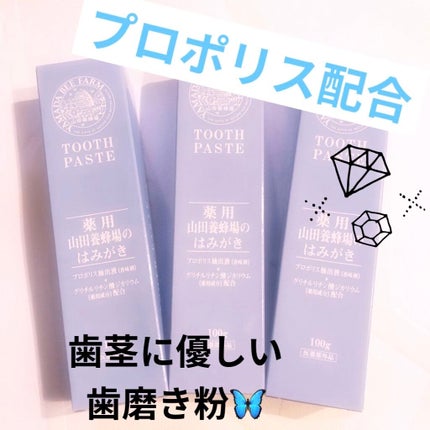 山田養蜂場のはみがき/アピセラピーコスメティクス/歯磨き粉を使ったクチコミ(1枚目)