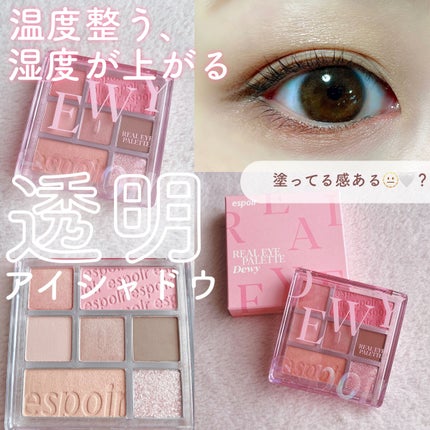 リアルアイパレット/espoir/マルチパレットを使ったクチコミ(1枚目)