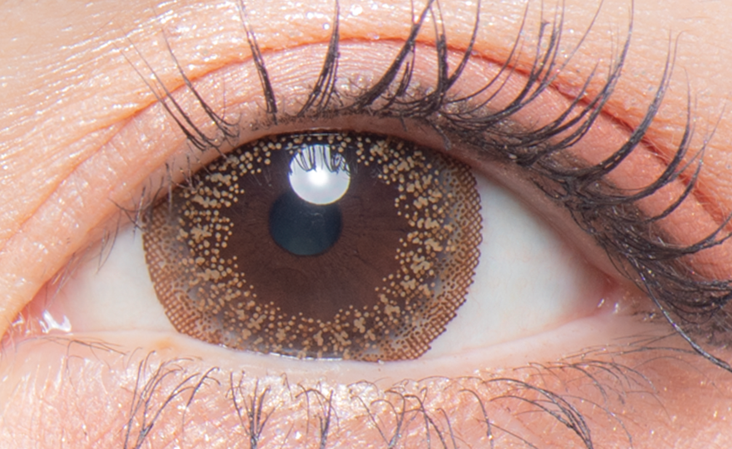 colors 1day メガシャイニーブラウン