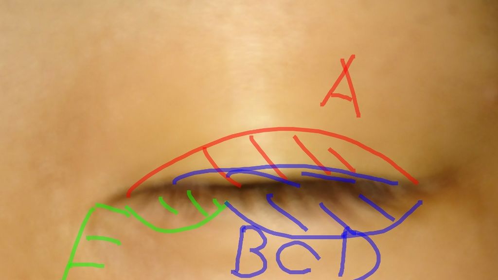 クイックラッシュカーラー/キャンメイク/マスカラ下地を使ったクチコミ(4枚目)