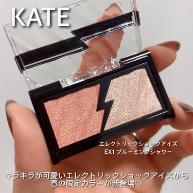 KATE エレクトリックショックアイズ のクチコミ「※MimiTVのイベントでいただきました

先日行われたMimiTV Beauty Meets.....」（2枚目）