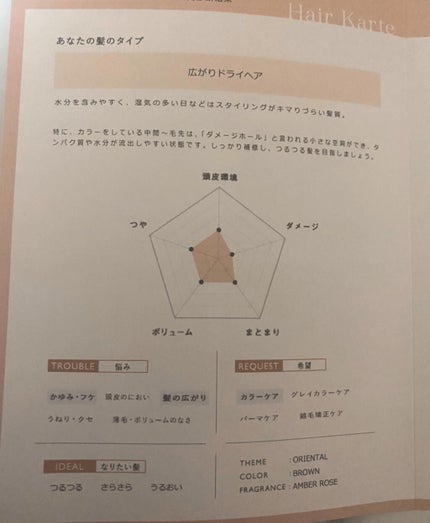 よしの on LIPS 「ずっと気になっていたヘアケアを頂いてつかってみました♡M..」(5枚目)