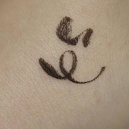 KATE 魂コレクション シェードカラーキープライナー/KATE/リキッドアイライナーを使ったクチコミ(2枚目)