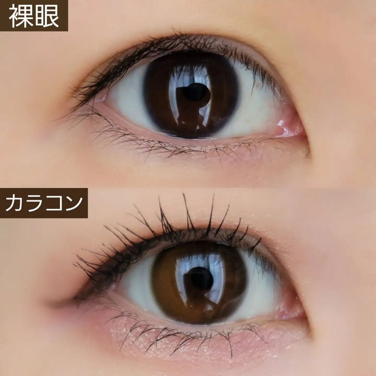 ダリアブラウンマンスリー (DAHLIA BROWN monthly)/OLOLA/1ヶ月(1MONTH)カラコンを使ったクチコミ(3枚目)