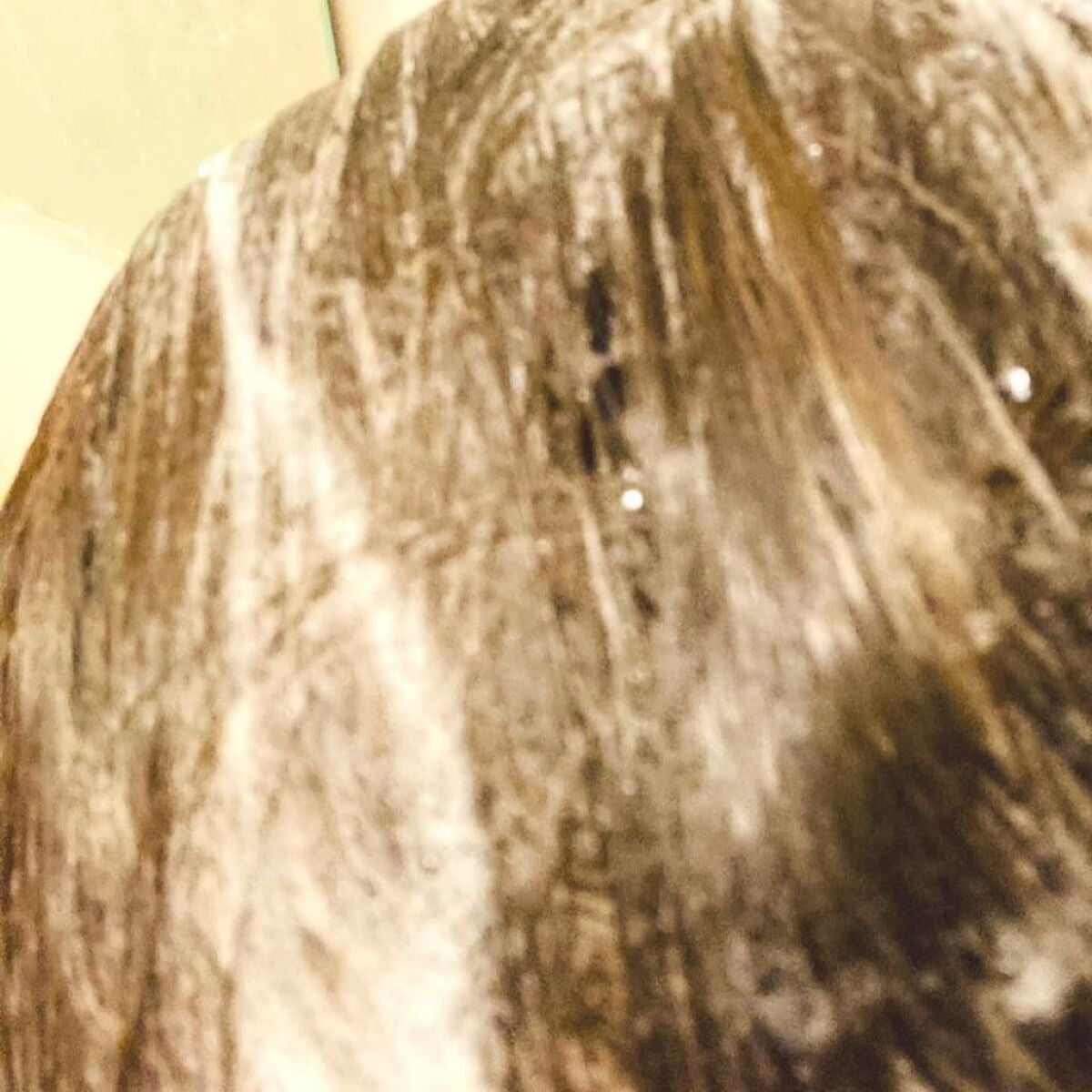 ランブット シャンプー/RAMBUT/市販シャンプーを使ったクチコミ(4枚目)