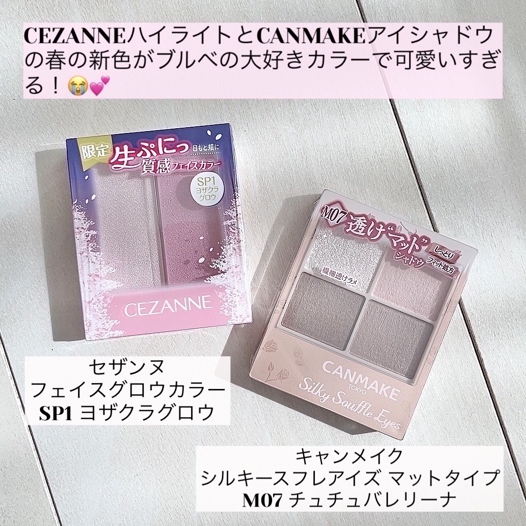 シルキースフレアイズ（マットタイプ）/キャンメイク/アイシャドウパレットを使ったクチコミ（2枚目）