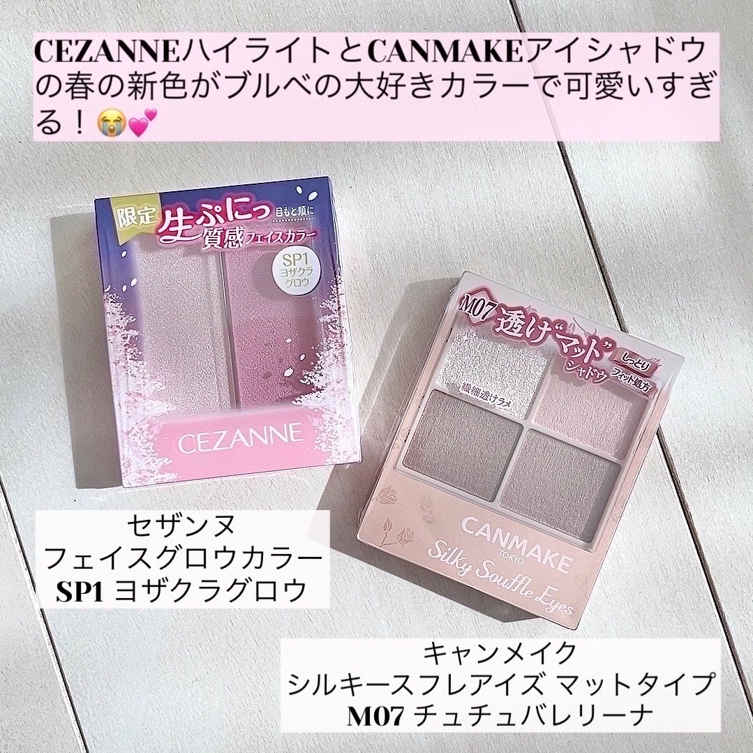 シルキースフレアイズ(マットタイプ)/キャンメイク/アイシャドウパレットを使ったクチコミ(2枚目)