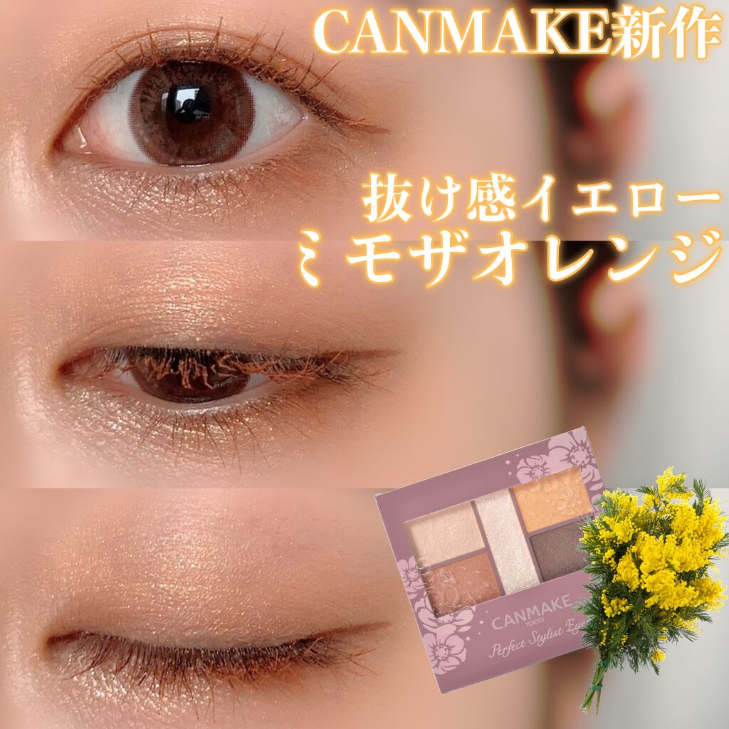 ラブ・ライナー リキッドアイライナー ブラウンニュアンスコレクション/ラブ・ライナー/リキッドアイライナーを使ったクチコミ（1枚目）