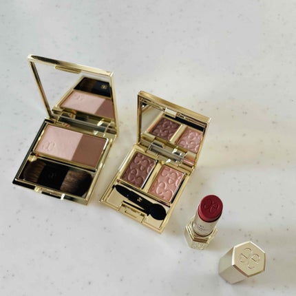 カラークリエイション ケース VI/エレガンス クルーズ/その他化粧小物を使ったクチコミ(4枚目)