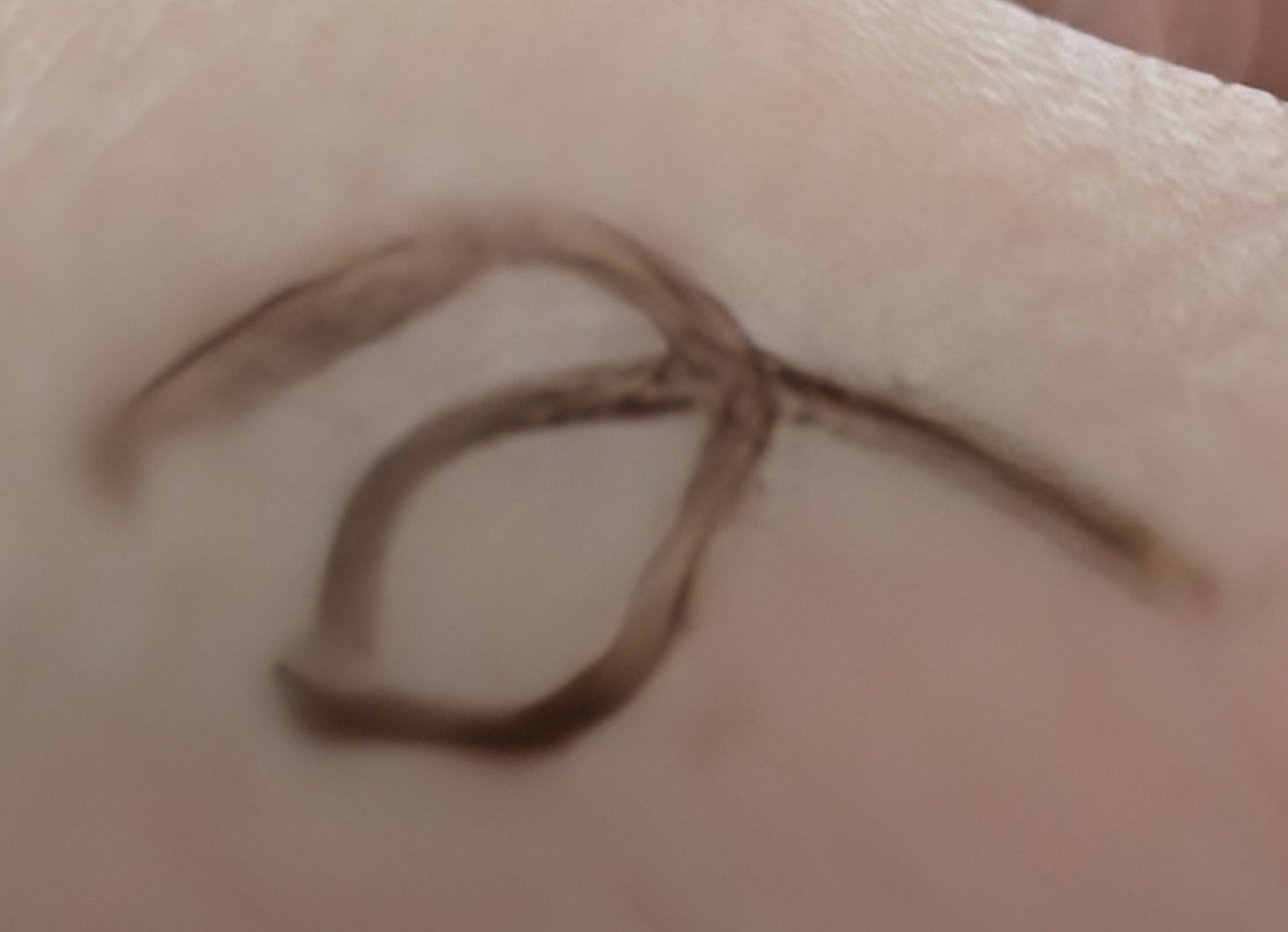 リキッドアイライナーR4/ラブ・ライナー/リキッドアイライナーを使ったクチコミ（2枚目）