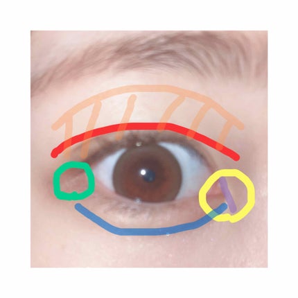 UR GLAM GRADATION EYESHADOW/U R GLAM/アイシャドウパレットを使ったクチコミ(2枚目)