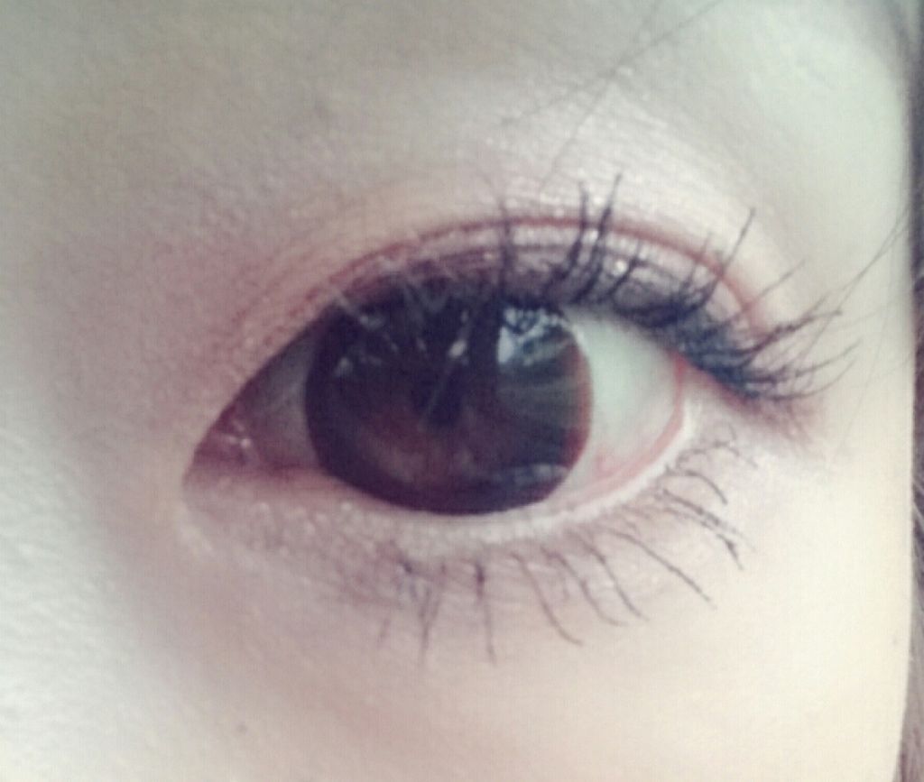 ラッシュマキシマイザーN/KATE/マスカラ下地を使ったクチコミ(2枚目)