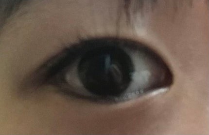 ミニアイラッシュカーラー/マペペ/ビューラーを使ったクチコミ(2枚目)