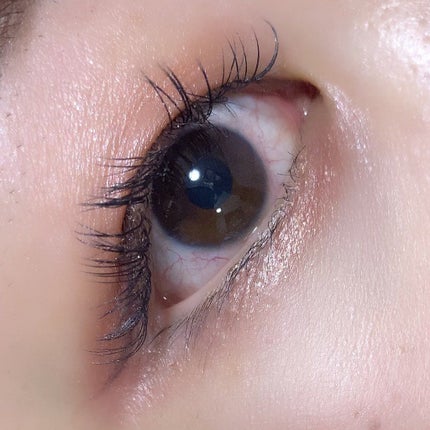 エレガンス アルモニーアイズ/Elégance/アイシャドウパレットを使ったクチコミ(5枚目)