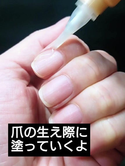 シア ネイルオイル/L'OCCITANE/ネイルオイル・トリートメントを使ったクチコミ(3枚目)