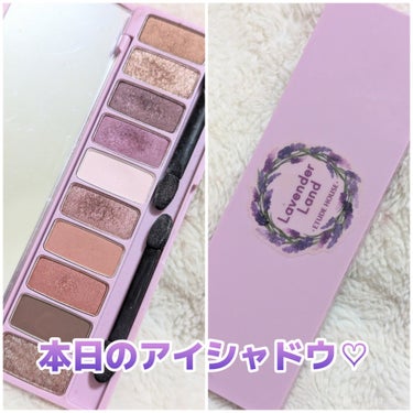 プレイカラー アイシャドウ ラベンダーランド【生産終了】/ETUDE/アイシャドウパレットを使ったクチコミ（1枚目）