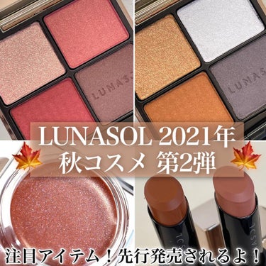 プランプメロウリップス/LUNASOL/口紅を使ったクチコミ（1枚目）