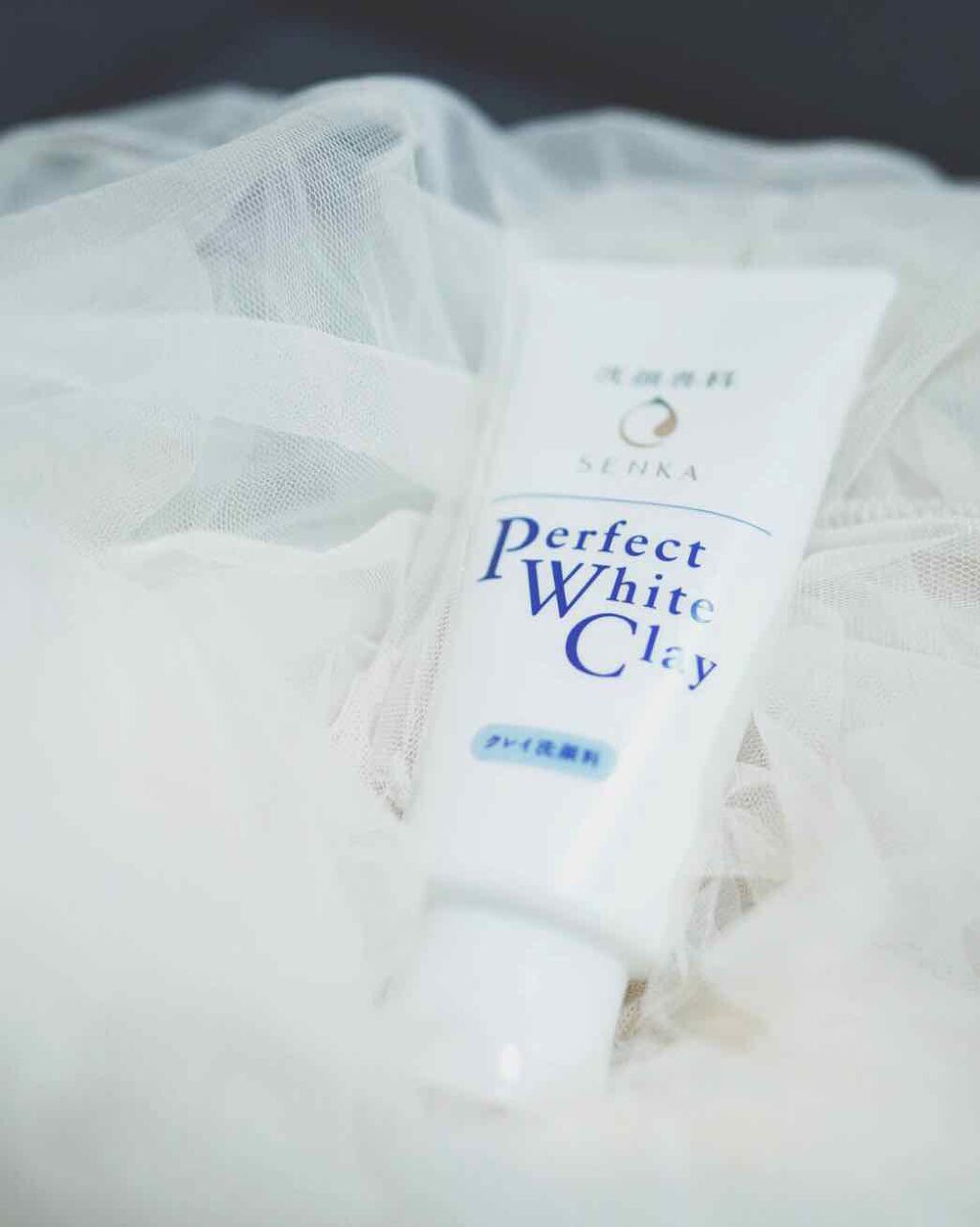 パーフェクトホワイトクレイ/SENKA（専科）/洗顔フォームを使ったクチコミ（1枚目）