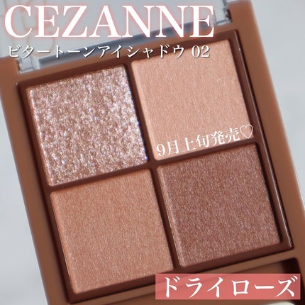 ビタートーンアイシャドウ/CEZANNE/パウダーアイシャドウを使ったクチコミ(2枚目)