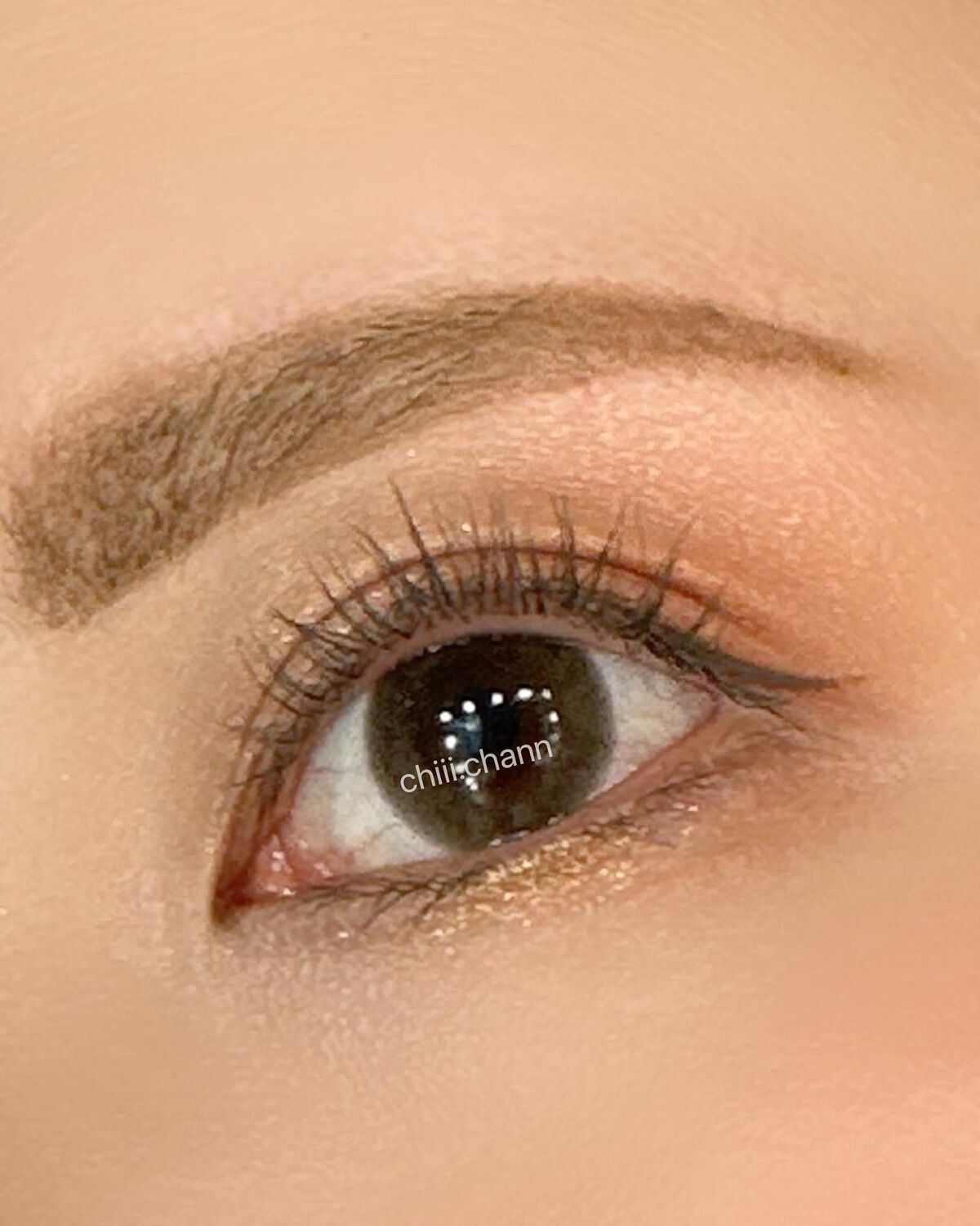 エクスプローラ12色 動物アイシャドウパレット/PERFECT DIARY/アイシャドウパレットを使ったクチコミ(2枚目)