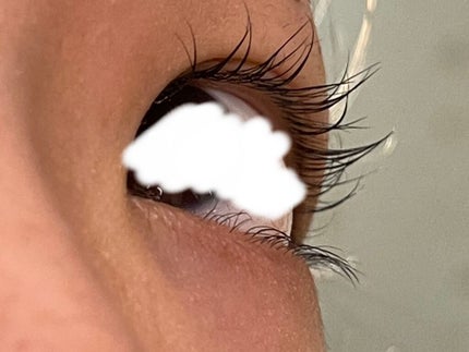 エグータム/アルマダスタイル/まつげ美容液を使ったクチコミ(3枚目)