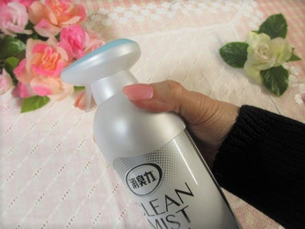 クリーンミスト/消臭力/その他を使ったクチコミ(1枚目)