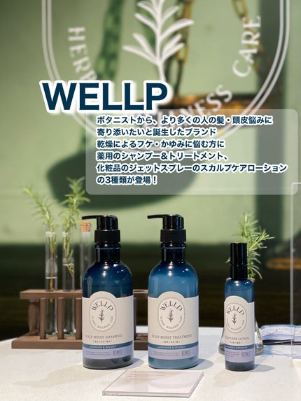 薬用スカルプケアシャンプー/トリートメント モイスト/WELLP/市販シャンプーを使ったクチコミ(1枚目)